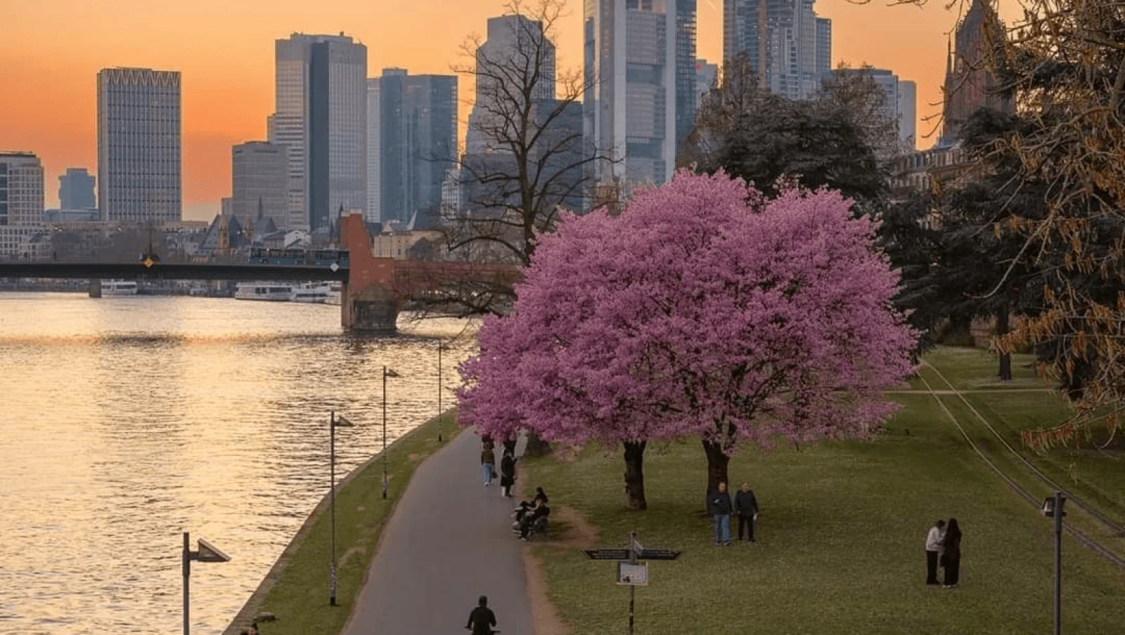 Germany — work and relocation destination