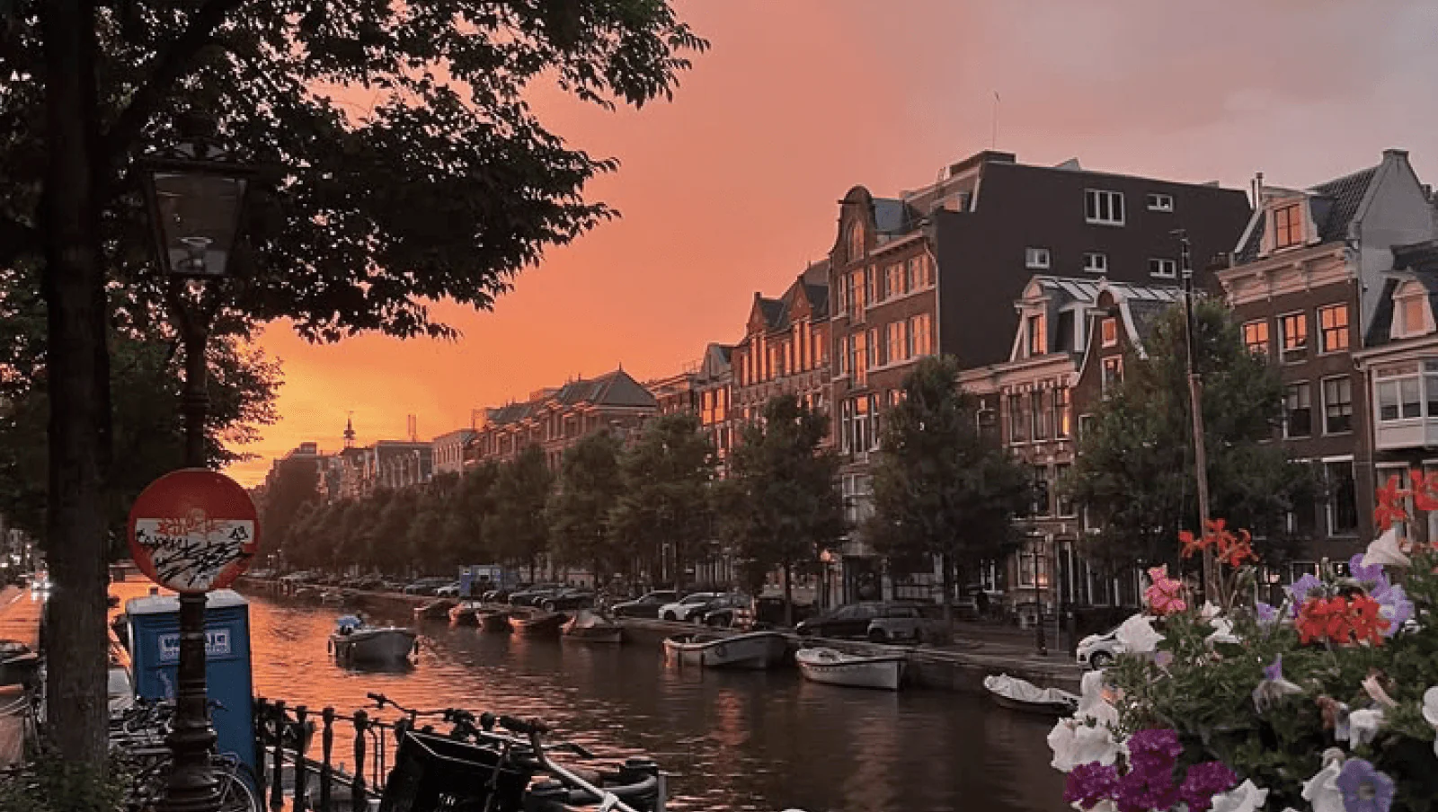 Netherlands — work and relocation destination